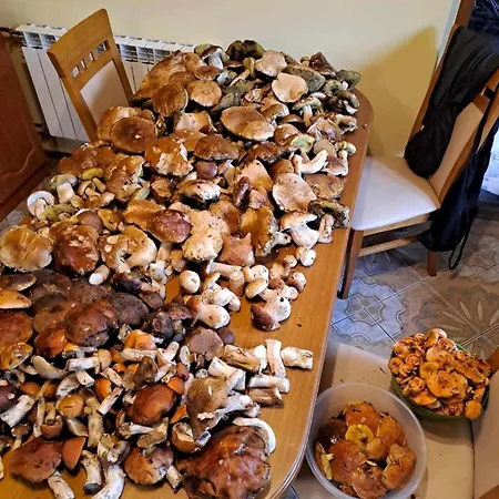 Pod Lubaniem Dom wakacyjny Ochotnica Dolna