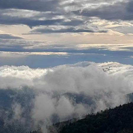Ferienhaus Pod Lubaniem *