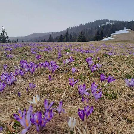 Ferienhaus Pod Lubaniem *