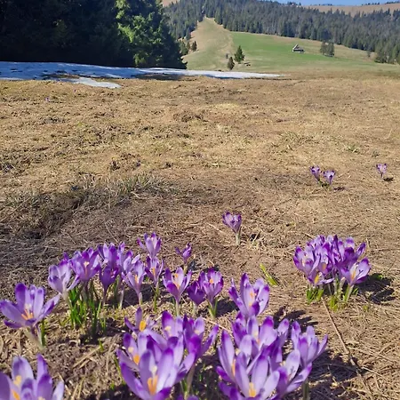 Pod Lubaniem * Ochotnica Dolna