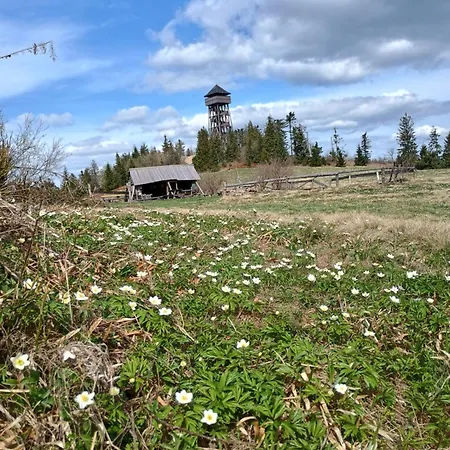 Dom wakacyjny Pod Lubaniem