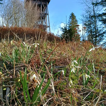 Pod Lubaniem Dom wakacyjny *