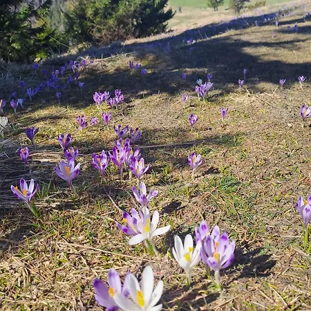 Pod Lubaniem Dom wakacyjny Ochotnica Dolna