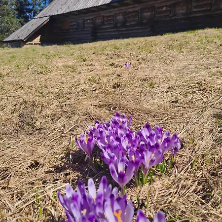 Pod Lubaniem Ochotnica Dolna