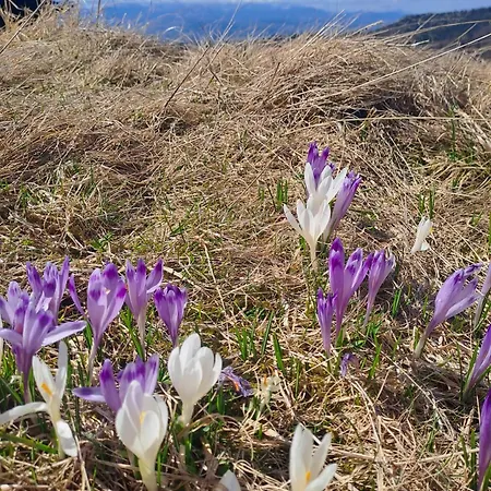 Pod Lubaniem * Ochotnica Dolna
