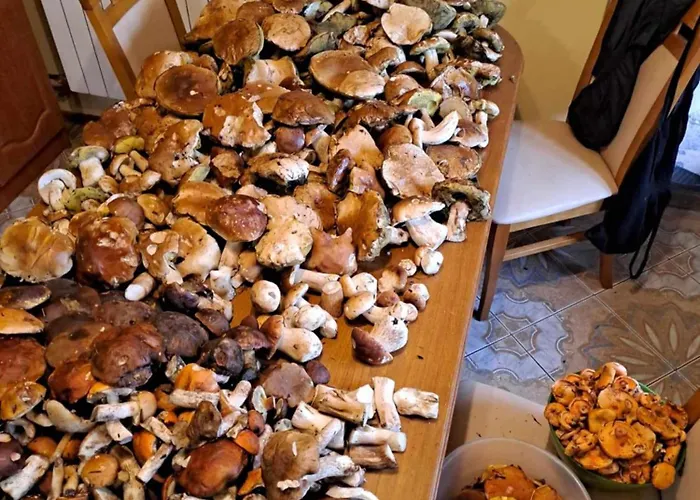 Pod Lubaniem Nyaraló Ochotnica Dolna