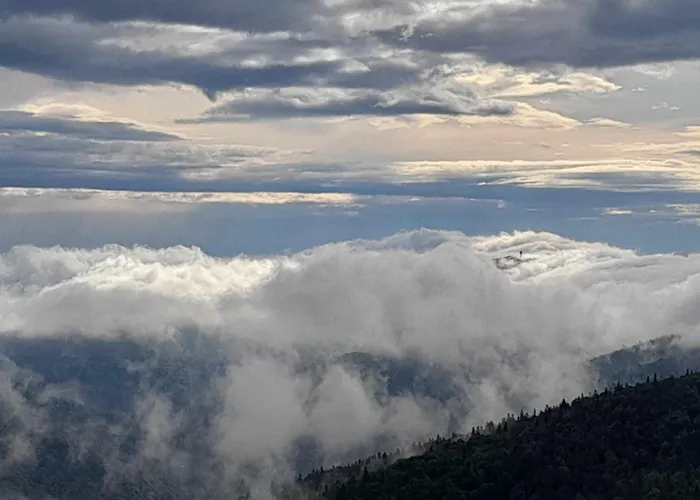 Nyaraló Pod Lubaniem *