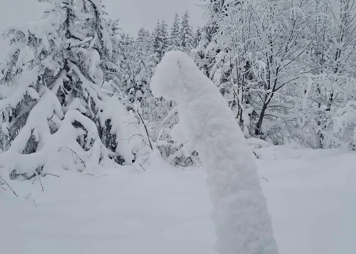 Pod Lubaniem * Ochotnica Dolna