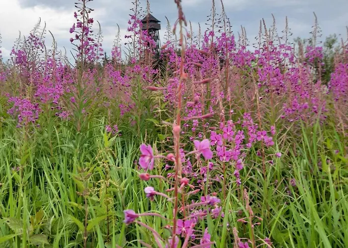 Pod Lubaniem Nyaraló