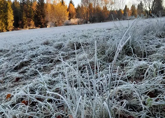 Pod Lubaniem Nyaraló *