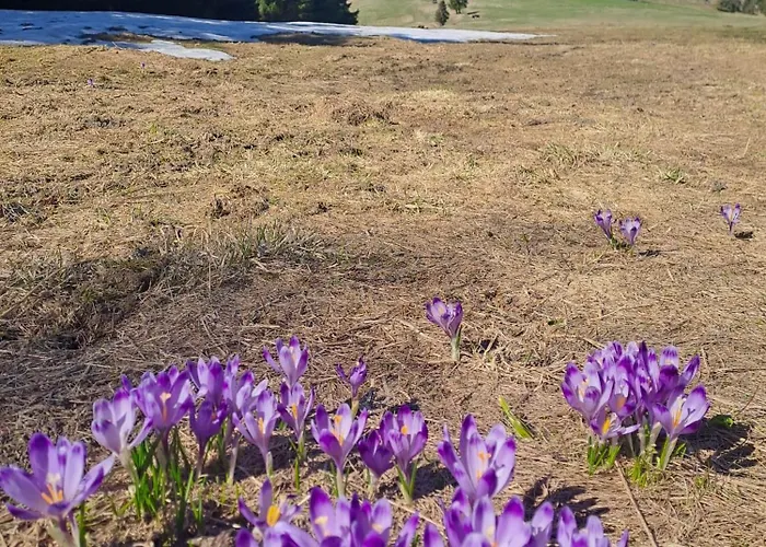 Pod Lubaniem * Ochotnica Dolna