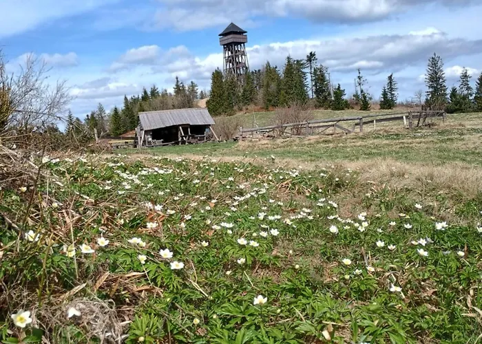 Nyaraló Pod Lubaniem