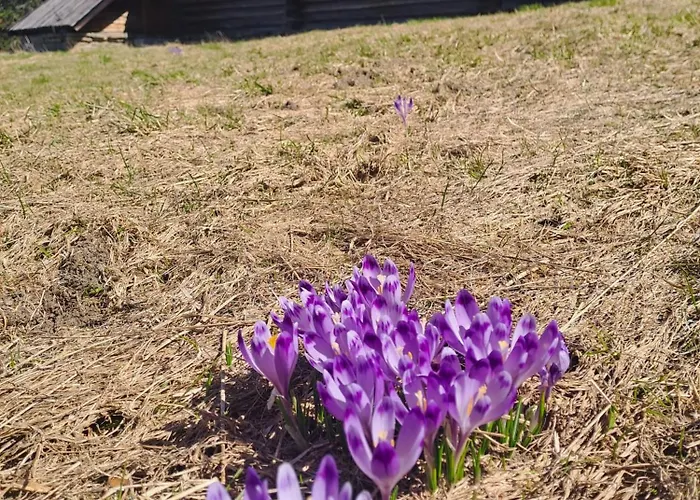 Pod Lubaniem Ochotnica Dolna